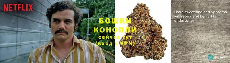 МАРИХУАНА SATIVA & INDICA  продажа наркотиков  Ликино-Дулёво 